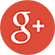 Google +